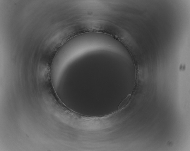 X0000111440029200907131316