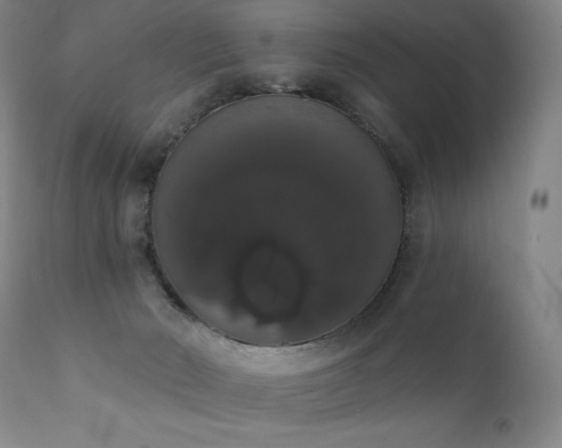 X0000111440030200907131316
