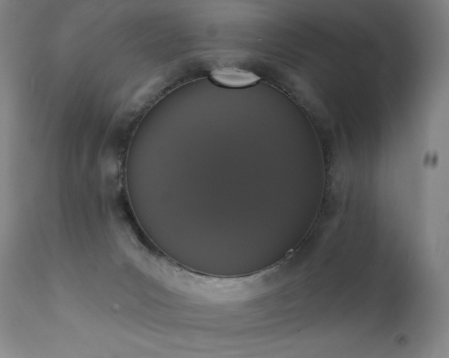 X0000111440031200907131316