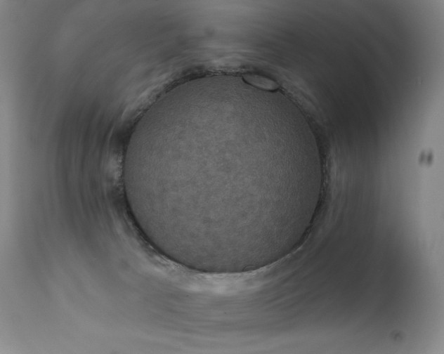 X0000111440033200907131316