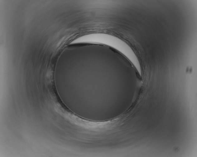 X0000111440035200907131316