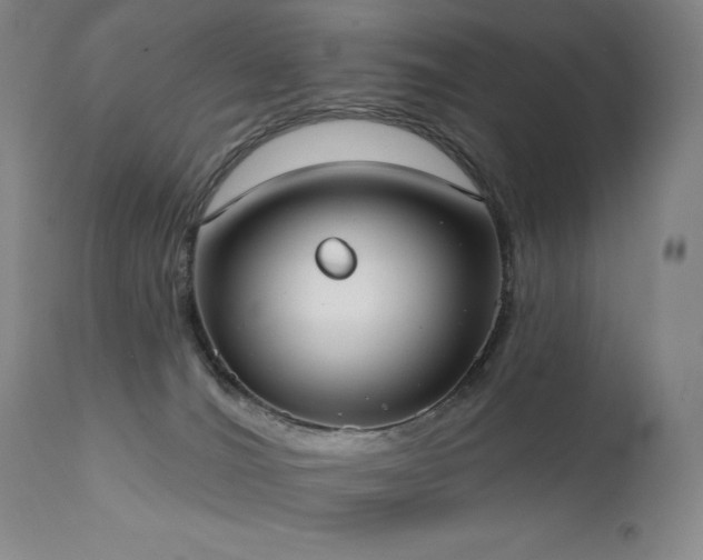 X0000111440036200907131316