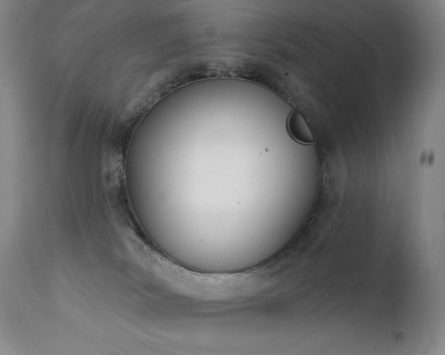 X0000111440038200907131316
