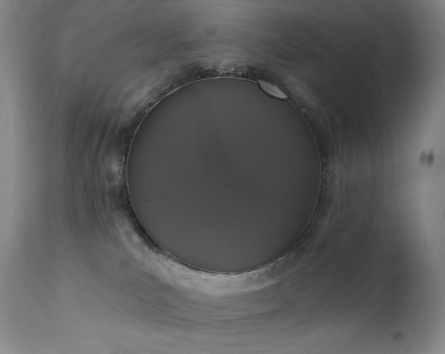 X0000111440039200907131316