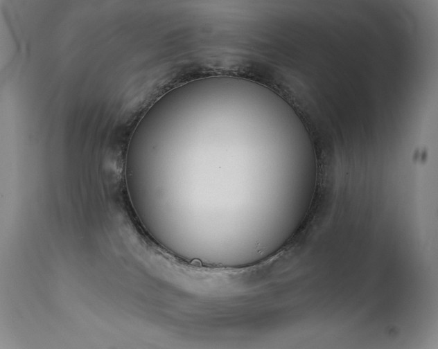 X0000111440040200907131316
