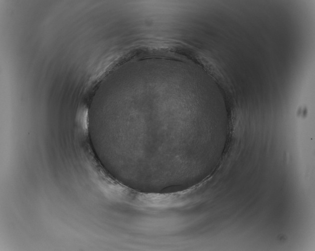 X0000111440041200907131316