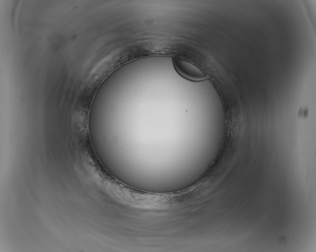 X0000111440044200907131316