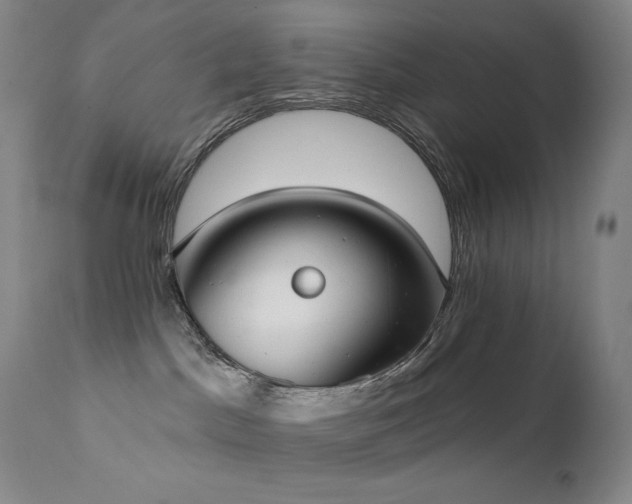 X0000111440045200907131316