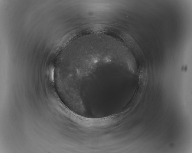 X0000111440046200907131316