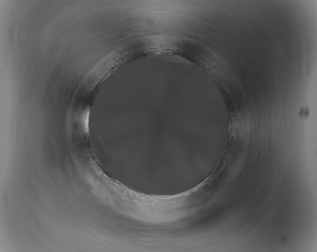 X0000111440047200907131316