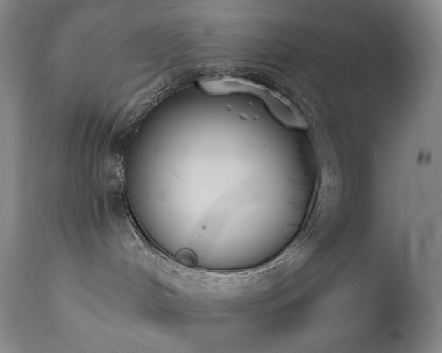X0000111440048200907131316