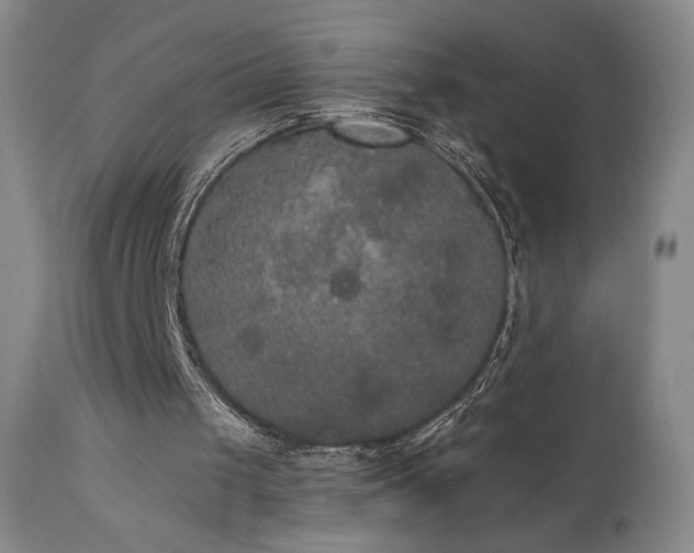X0000111440049200907131315