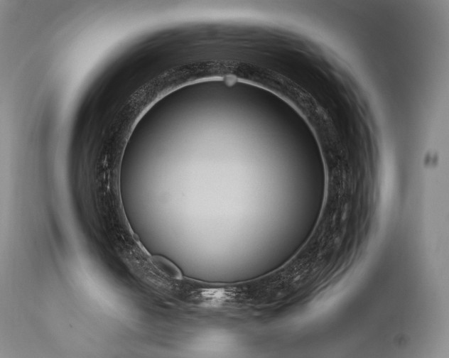 X0000111440050200907131315