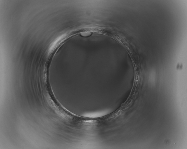 X0000111440053200907131315