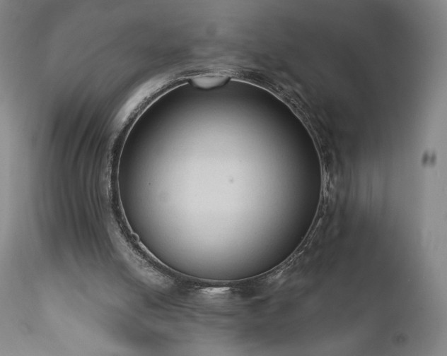 X0000111440054200907131315