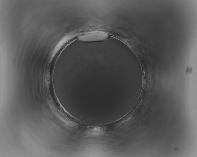 X0000111440056200907131315
