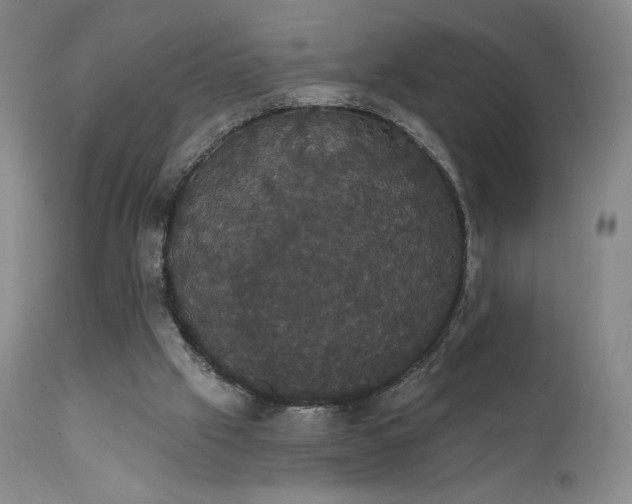 X0000111440057200907131315