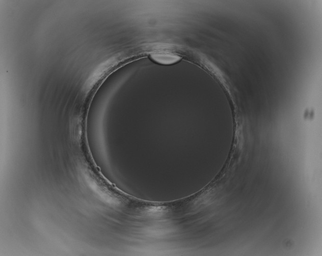 X0000111440059200907131315