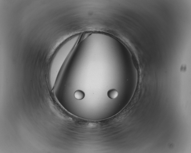 X0000111440060200907131315