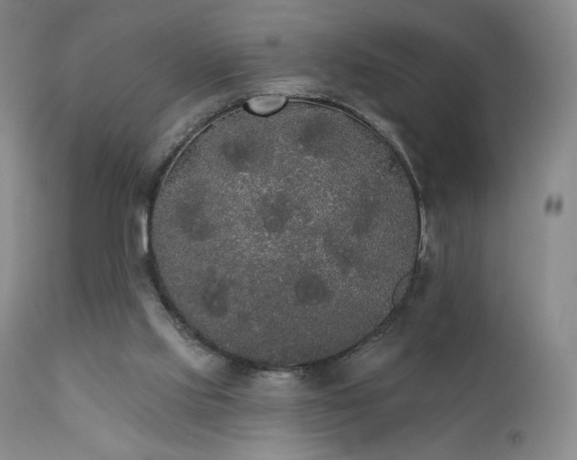 X0000111440061200907131315