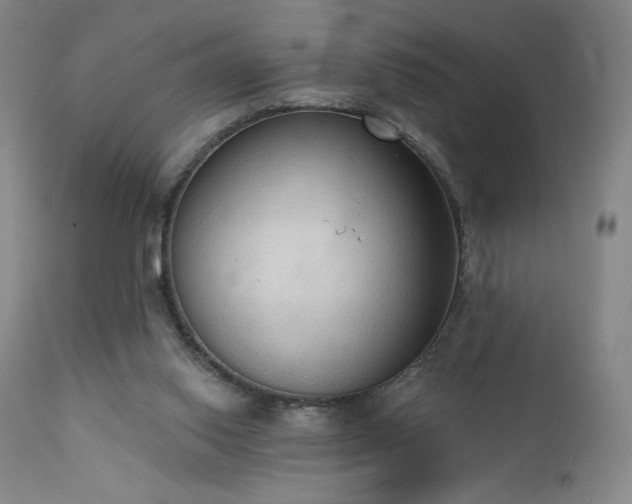 X0000111440062200907131315
