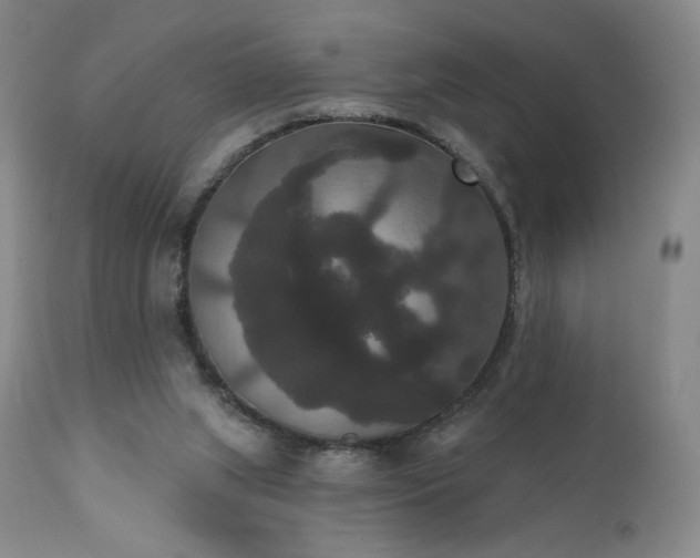 X0000111440063200907131315