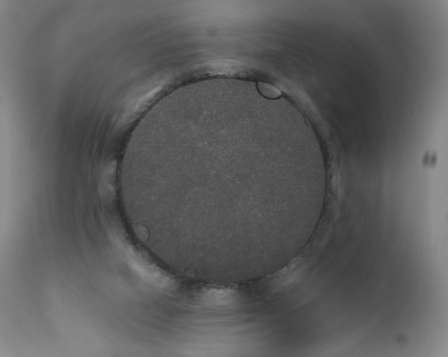 X0000111440066200907131315