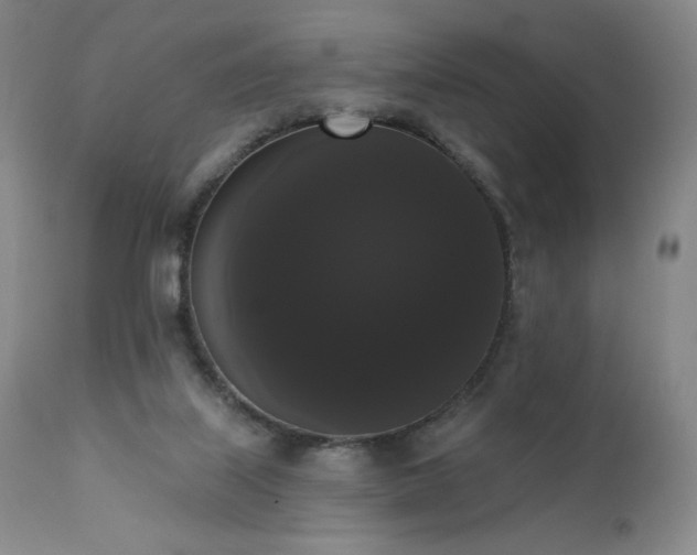 X0000111440067200907131315