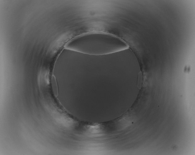 X0000111440068200907131315