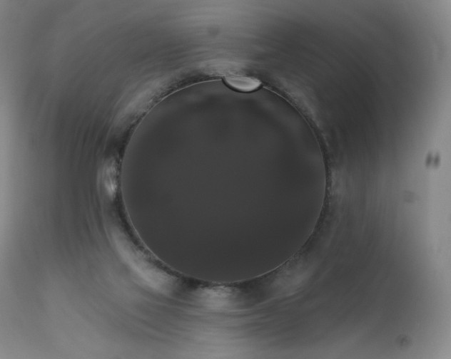 X0000111440069200907131315