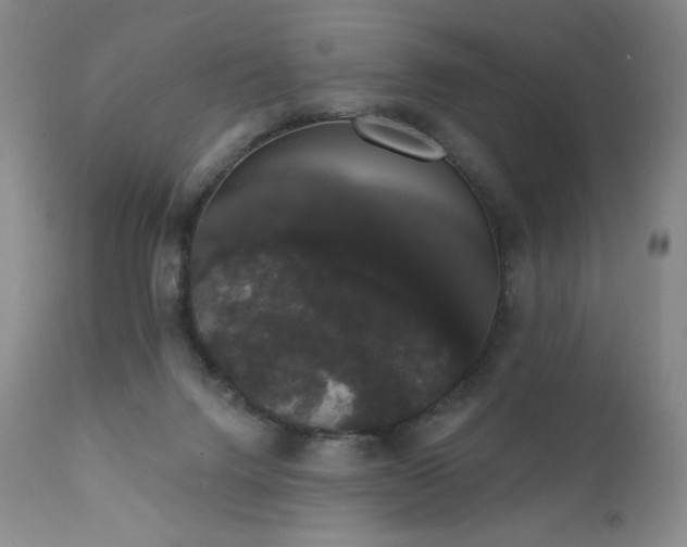 X0000111440072200907131315