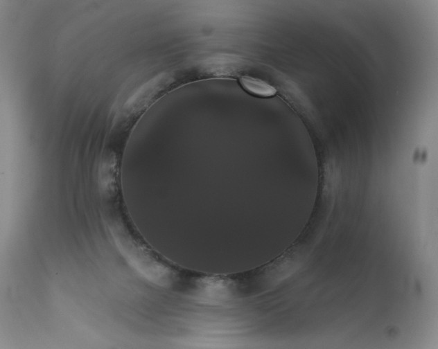 X0000111440073200907131315