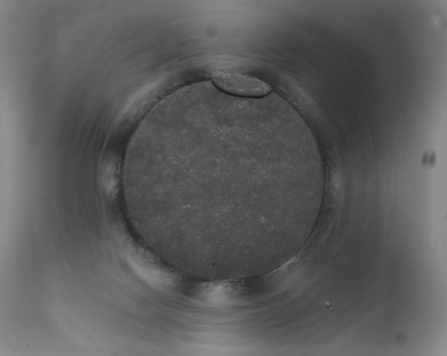 X0000111440074200907131315