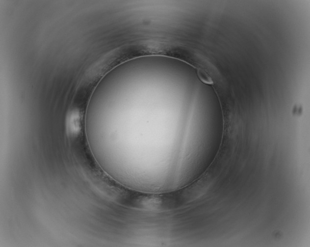 X0000111440075200907131315