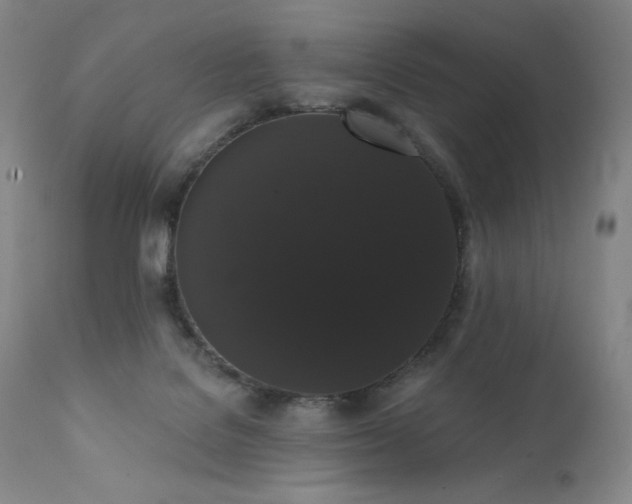 X0000111440076200907131315