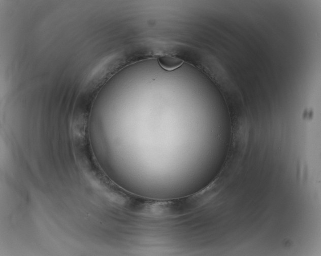 X0000111440078200907131316