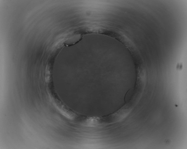 X0000111440080200907131316