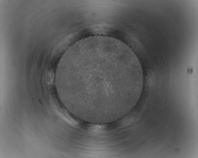 X0000111440081200907131316