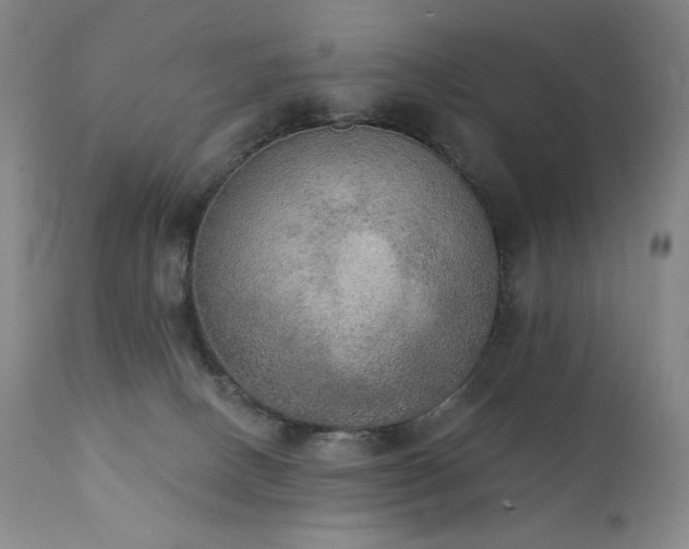 X0000111440082200907131316