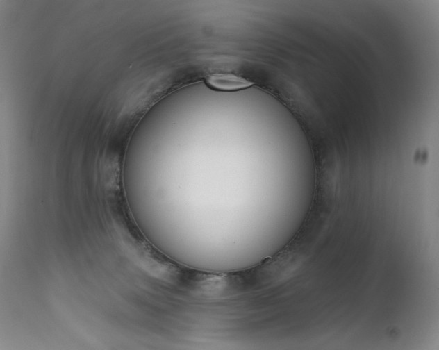 X0000111440083200907131316