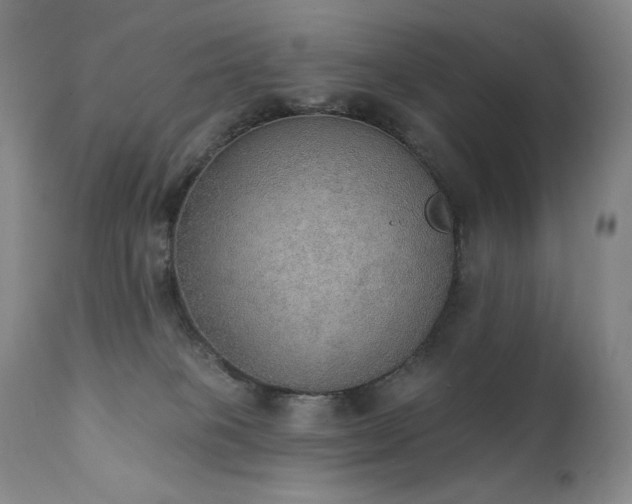 X0000111440085200907131316