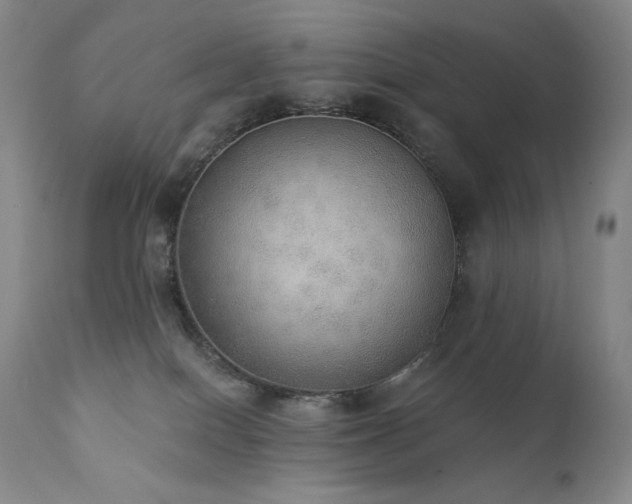 X0000111440086200907131316