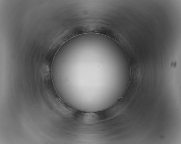 X0000111440087200907131316