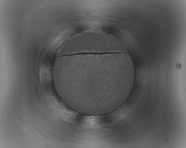 X0000111440088200907131316