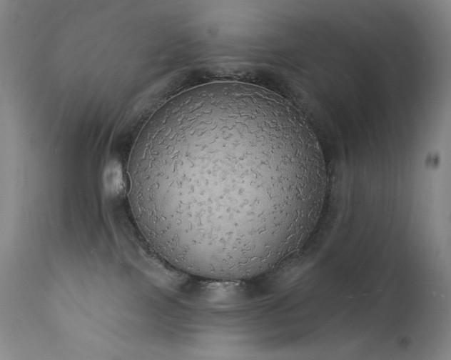 X0000111440089200907131316