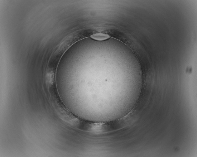 X0000111440090200907131316