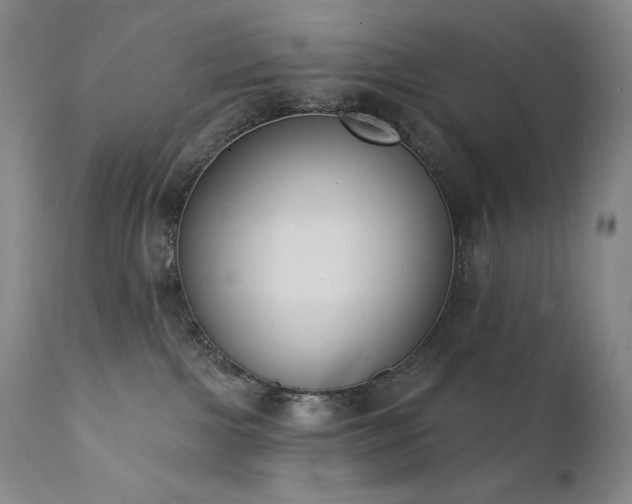 X0000111440091200907131316