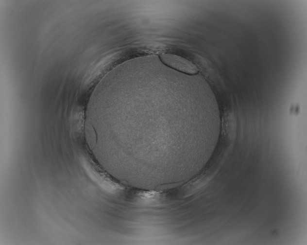 X0000111440092200907131316