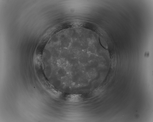 X0000111440093200907131316