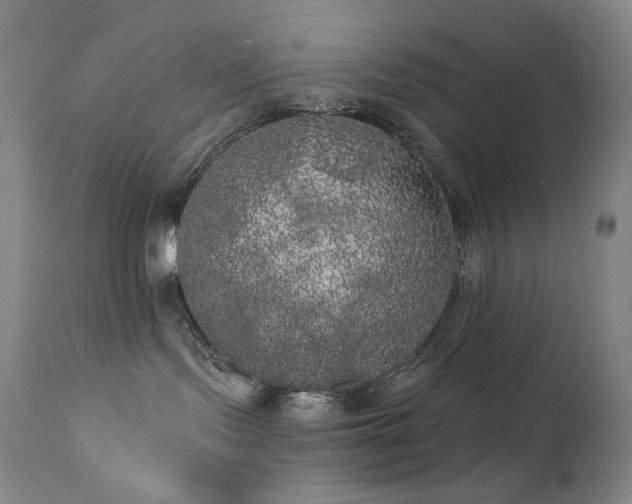 X0000111440095200907131316